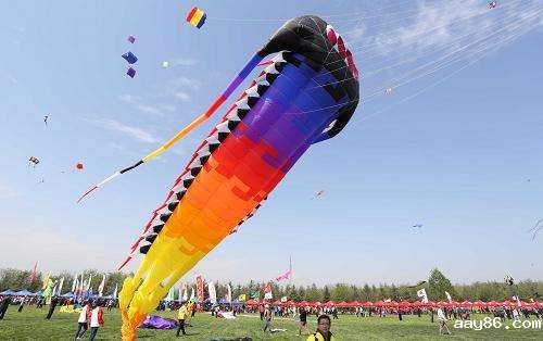 第37届潍坊国际风筝会开幕 第37届潍坊国际风筝会开幕