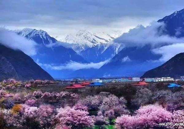 十一期间 新疆多家酒店主打“节约”“绿色”牌