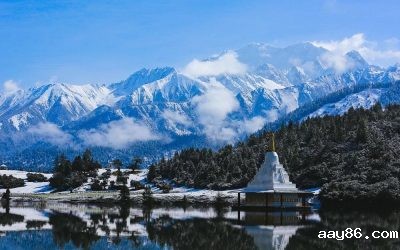 西藏林芝农牧民的越搞越好