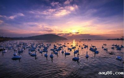 双节来临 1500多家景区免费或打折 20多个省市发优惠券