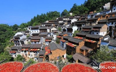 后疫情时代 乡村旅游正快速恢复