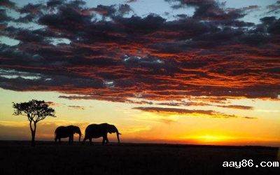 后疫情时代:非洲国家努力促进旅游业复苏